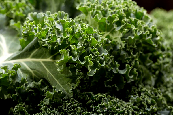 Kale Leaves are a powerhouse with several skin-boosting components