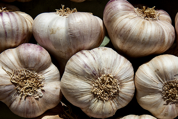 Garlic is an anti-bacterial ingredient