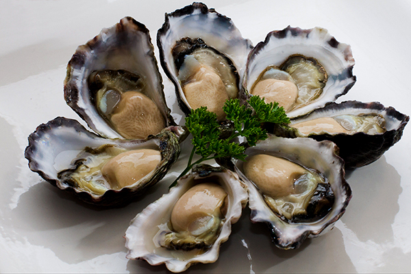 Oyster is a natural aphrodisiac