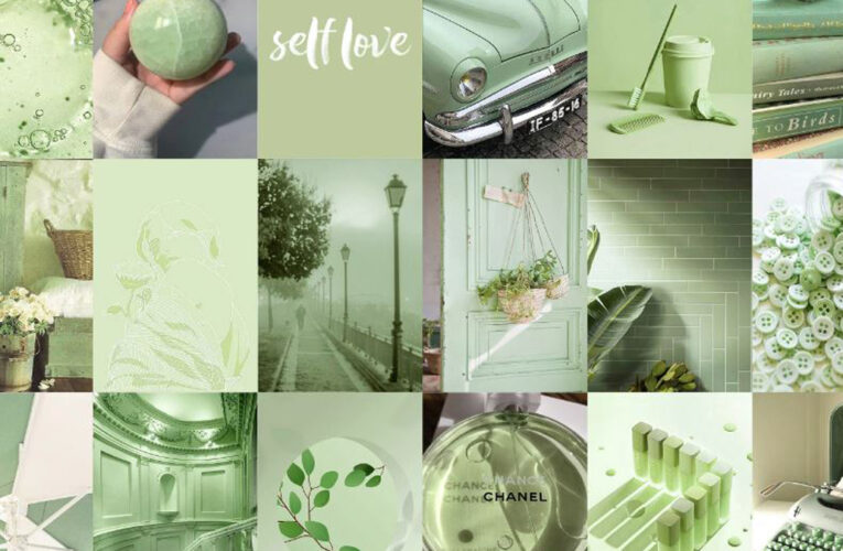 Why Has Sage Green Aesthetic Been So Popular?
